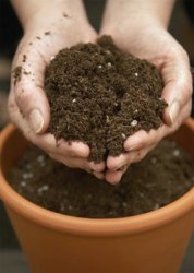 Почва для комнатных растений